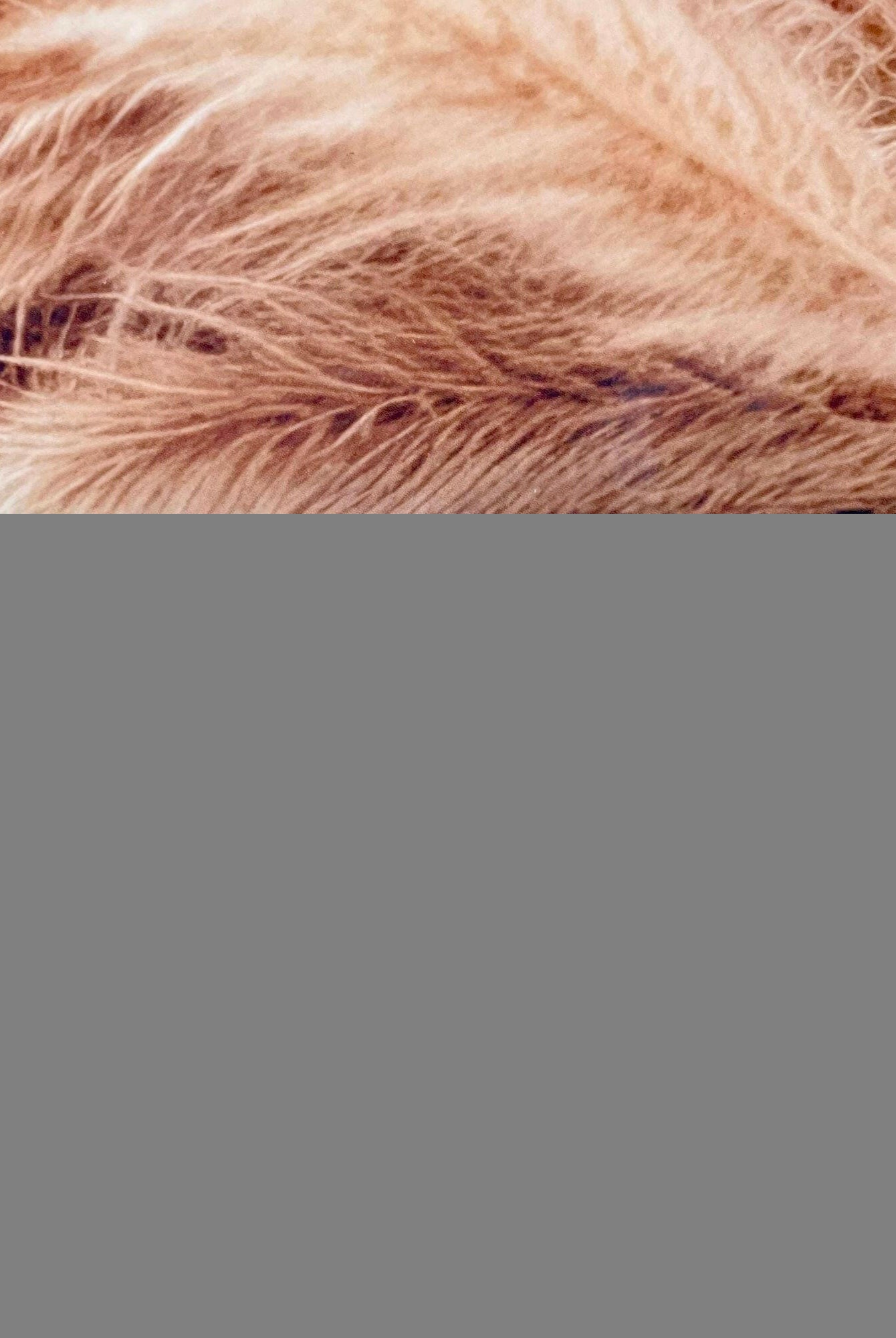 Little Heart Slab Rings-Rings-Krush Kandy, Women's Online Fashion Boutique Located in Phoenix, Arizona (Scottsdale Area)