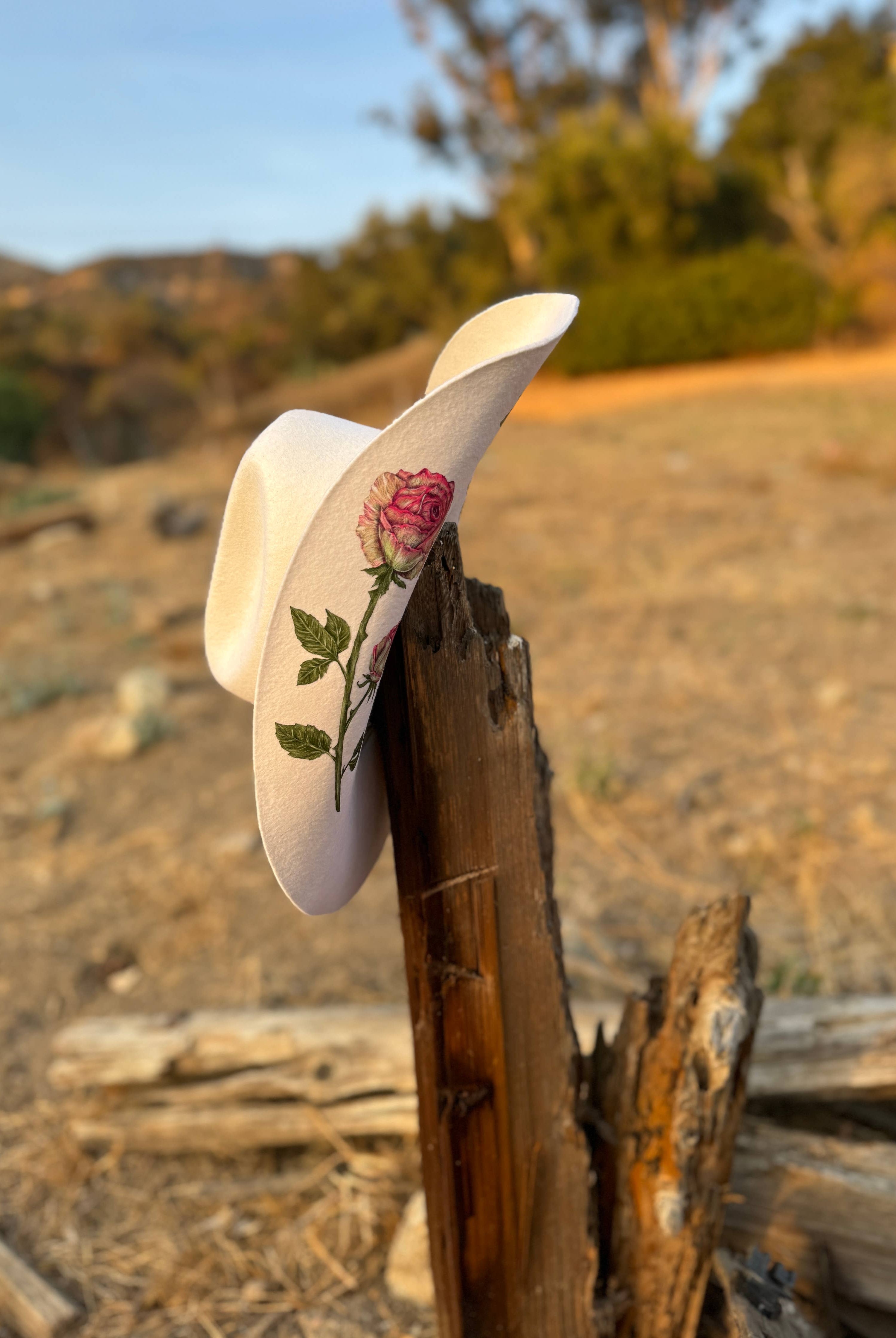 The Seraphina Western Hat - Made to Order-Hats-Krush Kandy, Women's Online Fashion Boutique Located in Phoenix, Arizona (Scottsdale Area)