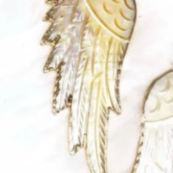 Abalone Wing Necklace-Chain Necklaces-Krush Kandy, Women's Online Fashion Boutique Located in Phoenix, Arizona (Scottsdale Area)