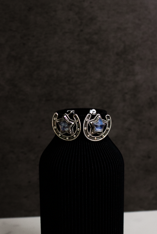 Starry Horseshoe Stone Earrings-Stud Earrings-Krush Kandy, Women's Online Fashion Boutique Located in Phoenix, Arizona (Scottsdale Area)