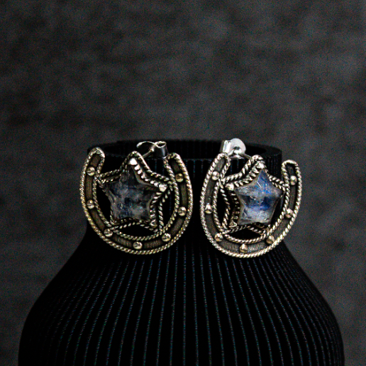 Starry Horseshoe Stone Earrings-Stud Earrings-Krush Kandy, Women's Online Fashion Boutique Located in Phoenix, Arizona (Scottsdale Area)